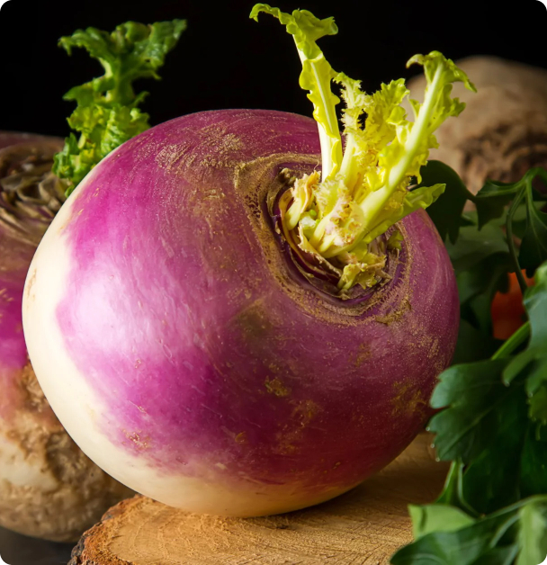 Rutabaga Seeds - American  Purple Top