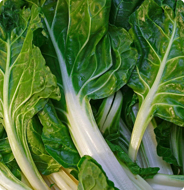 Swiss Chard Seeds - Fordhook