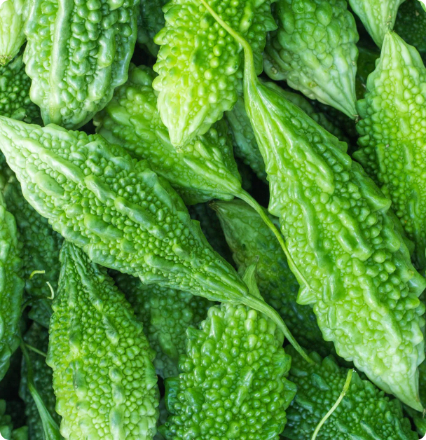 Gourd Seeds - Bitter Melon,  Green Skin
