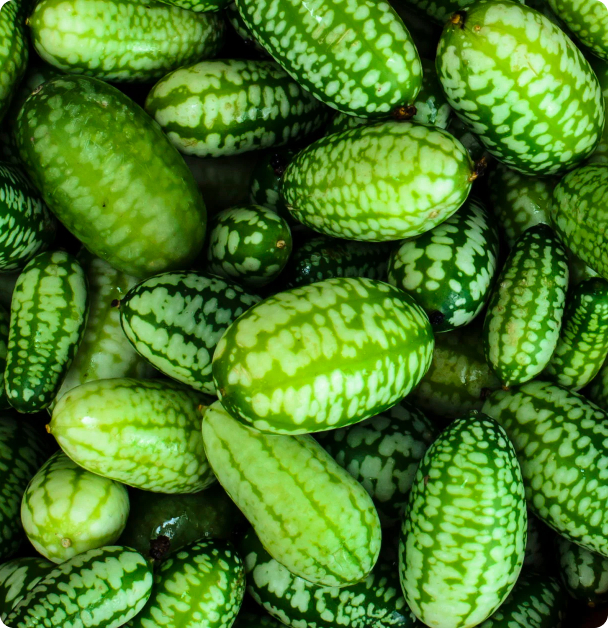 Cucamelon Seeds - Mexican  Sour Gerkhin